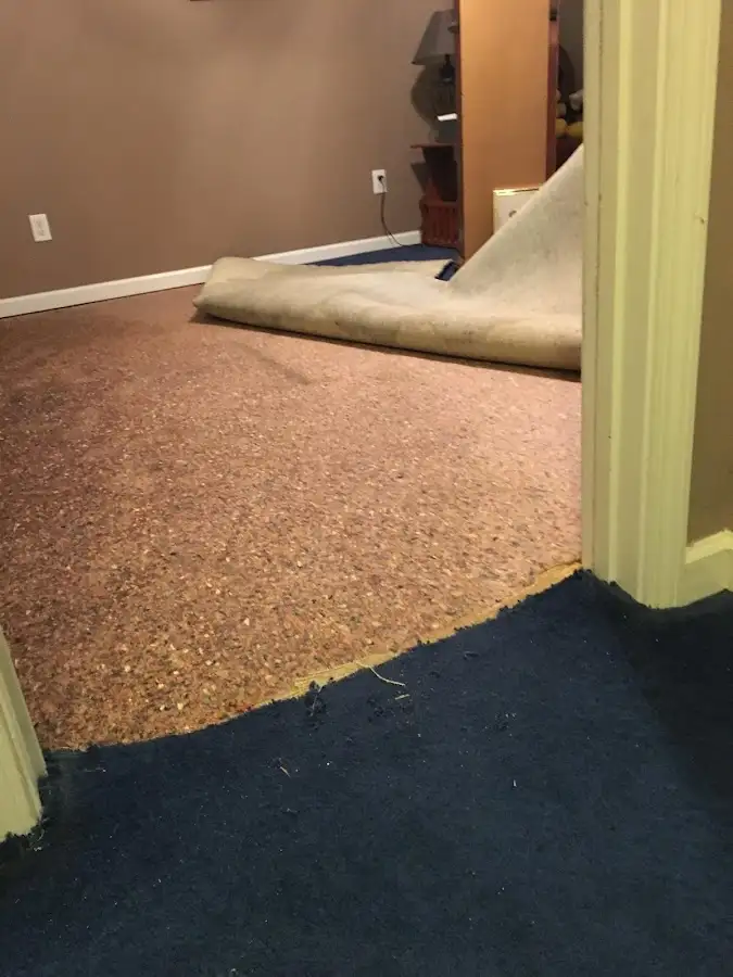 Carpet pad removal revealing water damage during Drying & Dehumidification in Belvedere Park