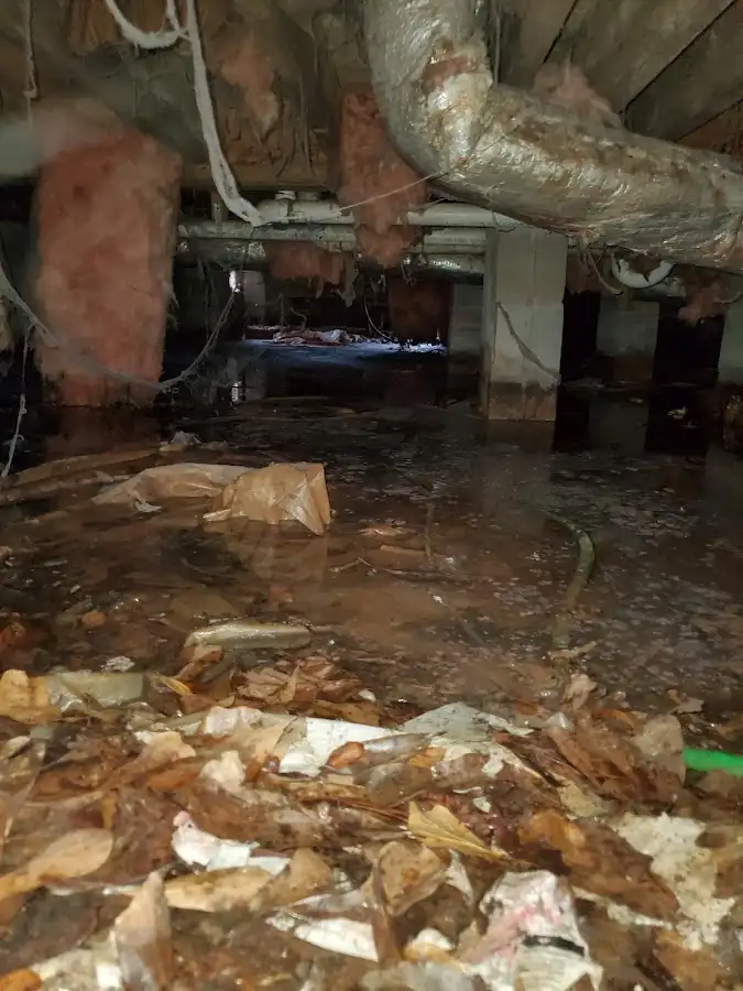 Crawl space flood assessment for Commercial Water Damage Restoration in Belvedere Park