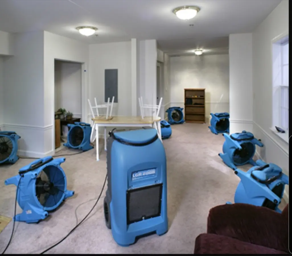 Air movers and dehumidifier setup for Water Extraction & Removal in Belvedere Park