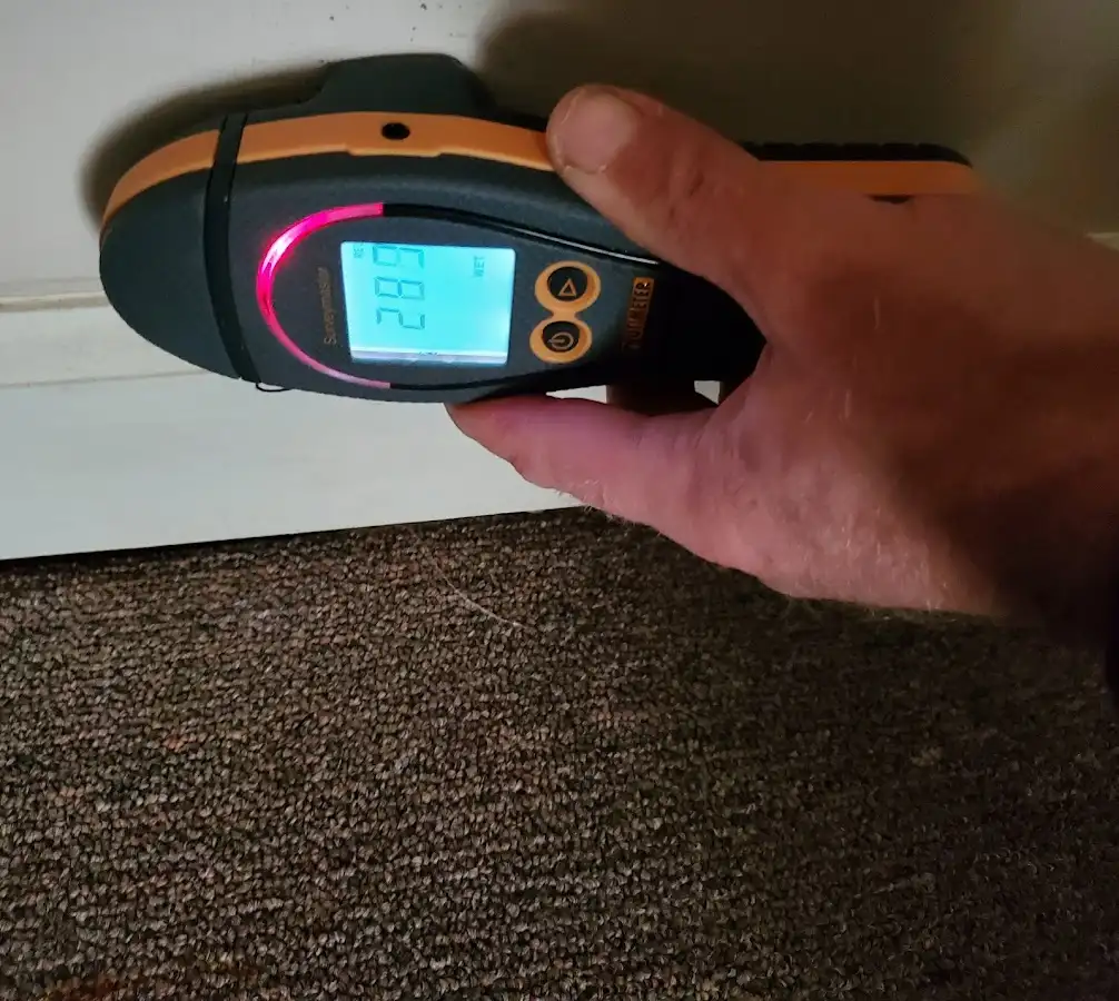 Moisture detection at baseboard during Sewage Cleanup & Sanitation in Belvedere Park